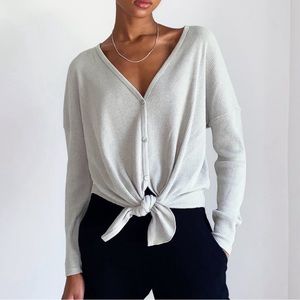 Aritzia Light Grey Taurus Top